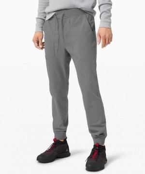 Lululemon ABC Jogger 30" Warpstreme Erkek Pantolon Gri | PBZKCG-568