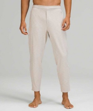 Lululemon Balancer Pant Erkek Pantolon Gri | CRFKYG-316
