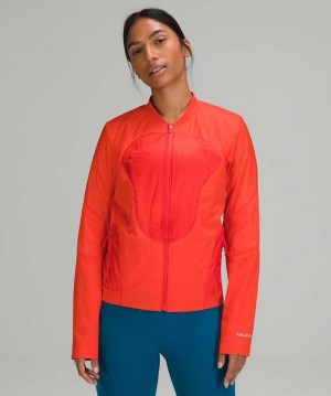 Lululemon Polar Pace Run Kadın Mont Kırmızı | RVCJUB-142